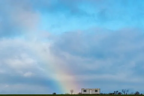 The rainbow shines on a small bare tree Stock Photos