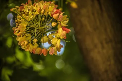 Rainbow Shower Stock-Fotos
