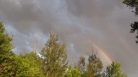 Rainbow in the sky above the trees Video stock 137656930