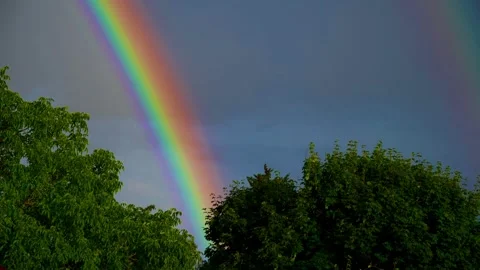 A rainbow in the sky above trees. 스톡 동영상 313327883