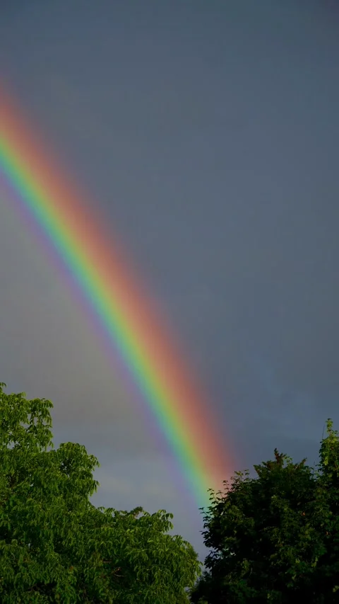 A rainbow in the sky above trees. Rainbow background with dark sky Video stock 313327926