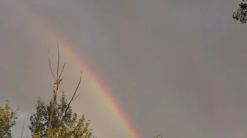 Rainbow in the sky 스톡 동영상 137656959