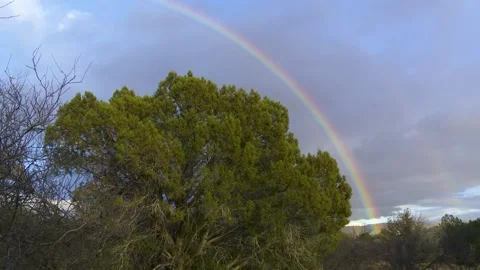 A rainbow in the sky Stock Footage 155582959