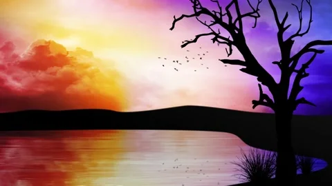 Rainbow Sky Lake Tree Silhouette 4K Loop Stock Footage 291344191