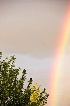 Rainbow in the sky over the green grass, beautiful photo digital picture Stock Photos