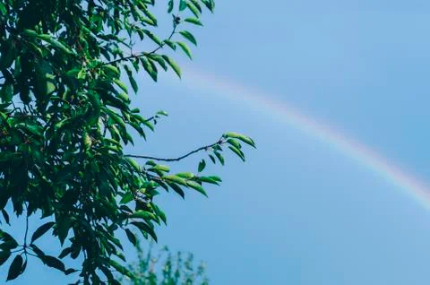 Rainbow In Sky Foto stock