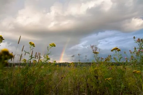 The rainbow in the sky. Stock Photos