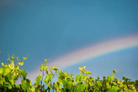 Rainbow in the sky Stock Photos