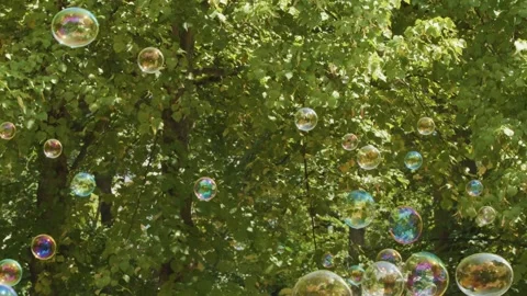 Rainbow soap bubbles floating in green park with sunlight flare during summ.. Stock Footage 333775321