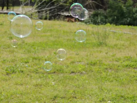 Rainbow soap bubbles over a green lawn Stock Photos