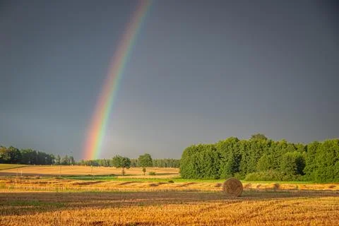 Rainbow spanning a rural field of hay bales after rain. Stock Photos