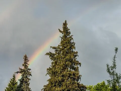 Rainbow in the spring in Maramures, Romania Stock Photos
