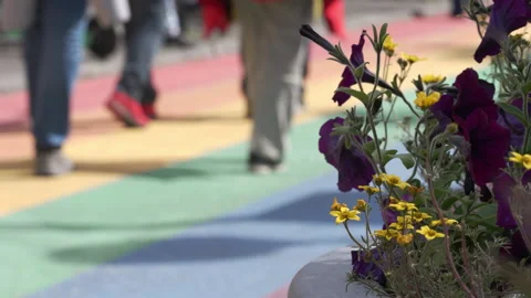 Rainbow street Stock Footage 341165667