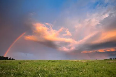 Rainbow in summer in the field Stock Photos