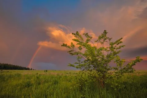 Rainbow in summer in the field Stock Photos