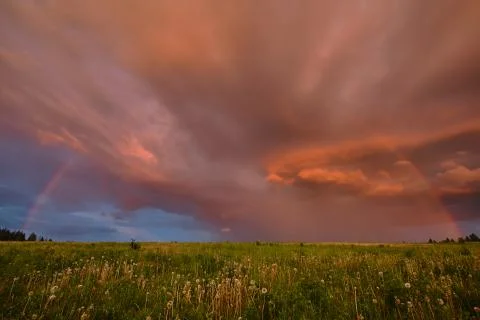 Rainbow in summer in the field Stock Photos