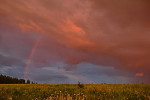 Rainbow in summer in the field Stock Photos