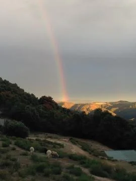 The rainbow in the summer Stock Photos