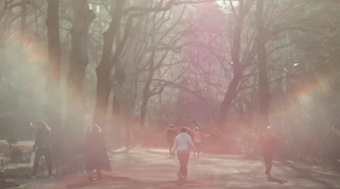 Rainbow Sunflare Central Park Stock Footage 61628697