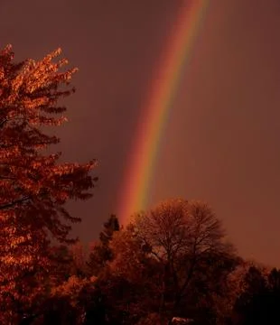 Rainbow at sunset Stock Photos