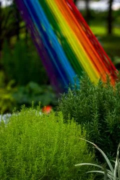 Rainbow thread art installation with green herbs Foto stock