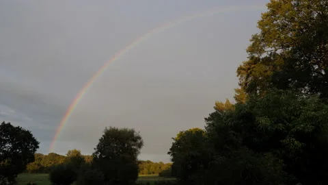 Rainbow through the trees in the countryside Stock Footage 140281822