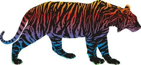 Rainbow in the tiger Stock Illustration