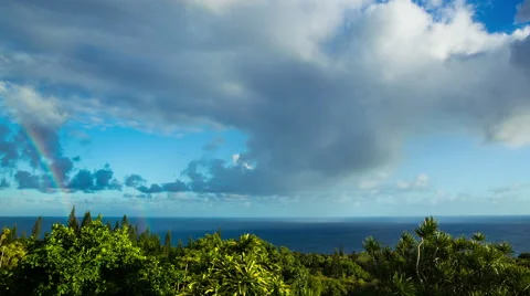 Rainbow Time Lapse Over Lush Green Forest and Blue Ocean Stock Footage 53369774