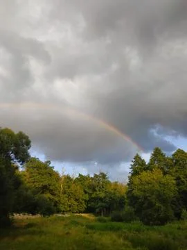 Rainbow with trees covering and moving sky Stock Photos