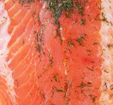 Rainbow trout background Stock Photos
