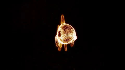 Rainbow Trout fish Spinning Animation Loop 4K Particle FX Stock Footage 313948865