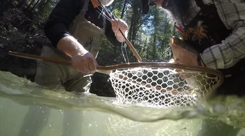 1,200+ Trout Fishing Stock Videos and Royalty-Free Footage