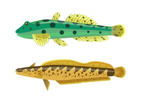 Rainbow Trout with Green Fish Vector Illustration Stock Illustration