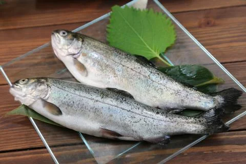 Rainbow Trout Stock Photos