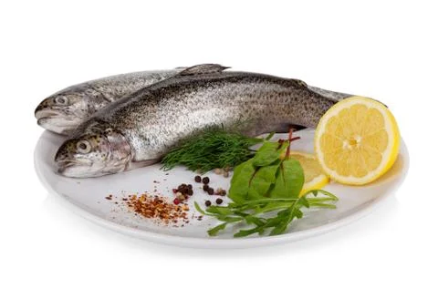 Rainbow trout on white Stock-Fotos