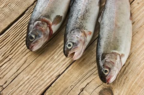 Rainbow trout on a wooden board Stock Photos