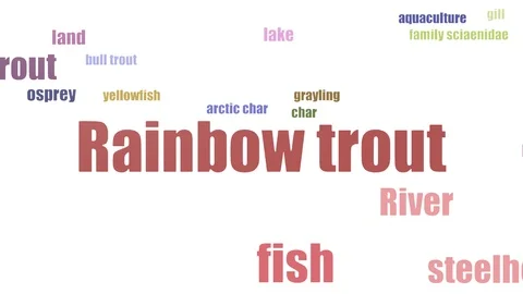 Rainbow Trout Word Cloud Animated On Whi... | Stock Video | Pond5