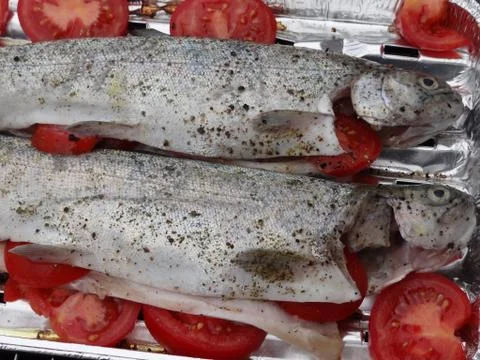 Rainbow trouts on grill Stock Photos