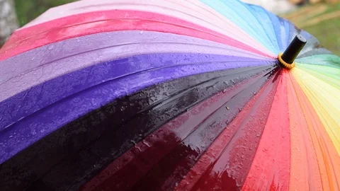 Rainbow umbrella in the rain on a green background Stock Footage 91198137