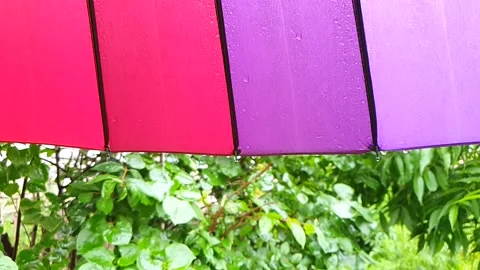 Rainbow umbrella spins on a background of wet foliage. Stock Footage 134098090