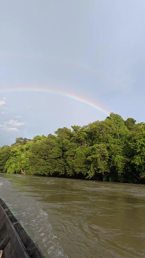 Rainbow in the upper reaches of Kapuas Stock Footage 317111190