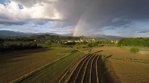 Rainbow vineyard Italy Stock Footage