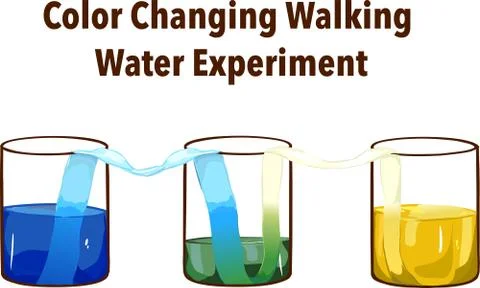 Rainbow walking water experiment in classroom. Concept of science. Stock Illustration