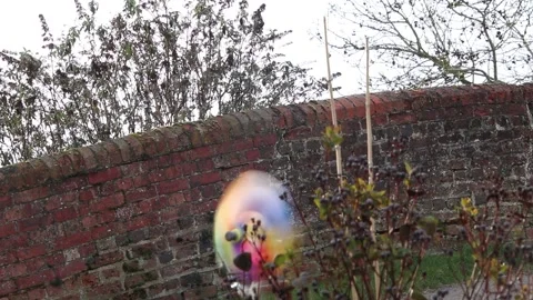 Rainbow windmill toy blowing and spinning in the wind Video stock 147536912