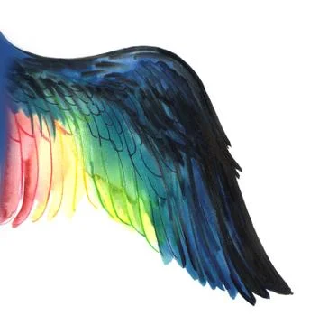 Rainbow wing Stock Illustration