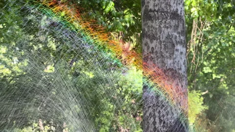 Rainbow in the woods Stock Footage 334109598