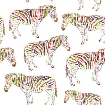 Rainbow Zebra portrait seamless pattern sketch isolated on white background.  Stock Illustration