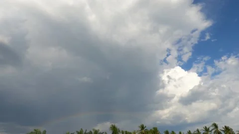 Rainbows with Puffy fluffy white cloud over coconut palm tree forest Video stock 152579600