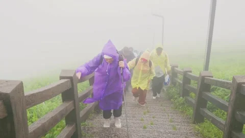 Raincoated visitors on mountain Video stock 347486591