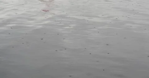Raindrop falling on the water during rainy season. Stock Photos